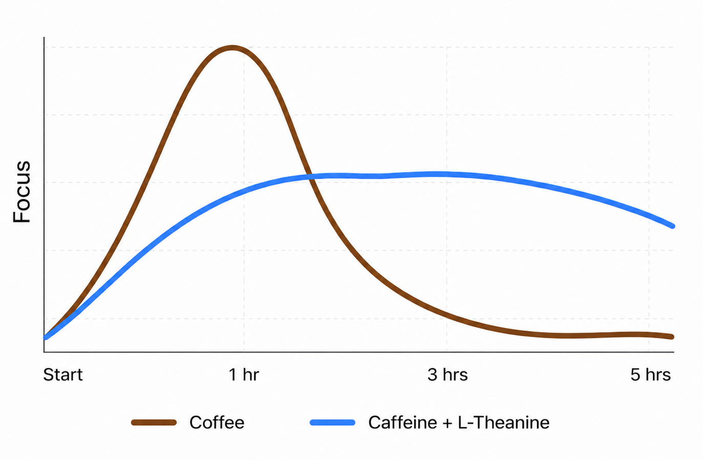 Line chart comparing the sharp spike and dip of coffee alone with the steadier curve of caffeine combined with L-theanine